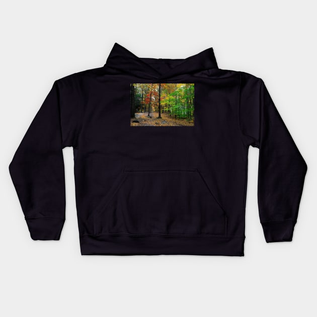 Mountain trail in the forest Kids Hoodie by Carlosr1946